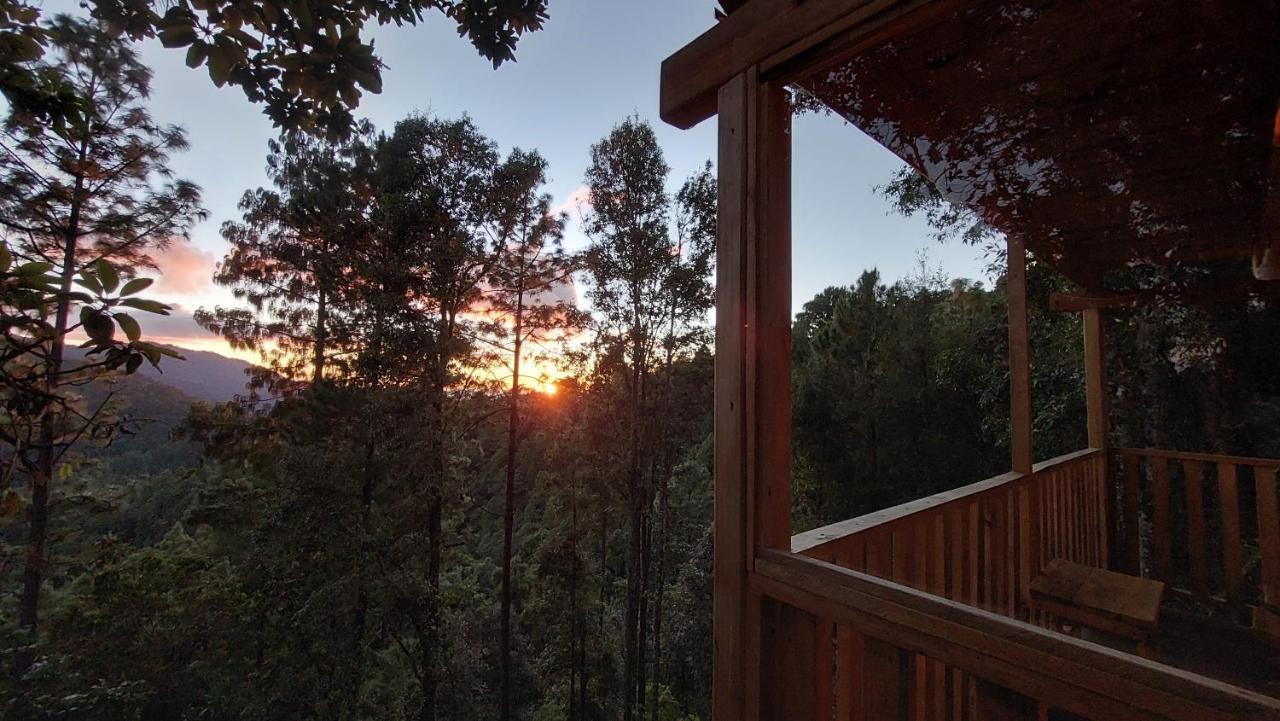 Cabana En El Bosque De San Jose Del Pacifico Exterior foto