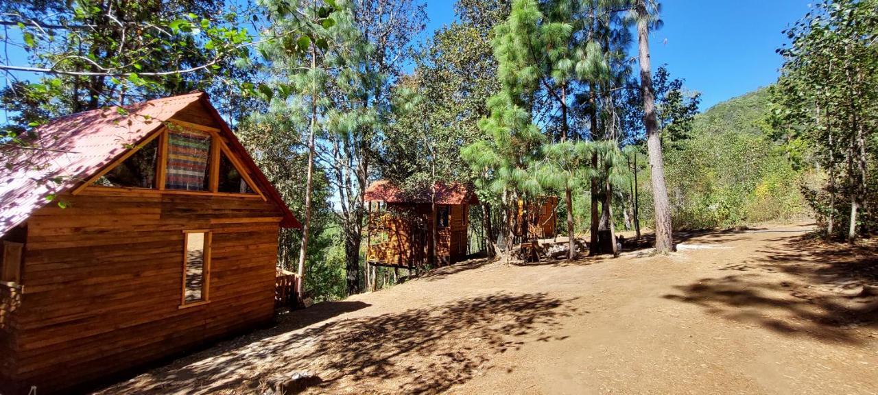Cabana En El Bosque De San Jose Del Pacifico Exterior foto