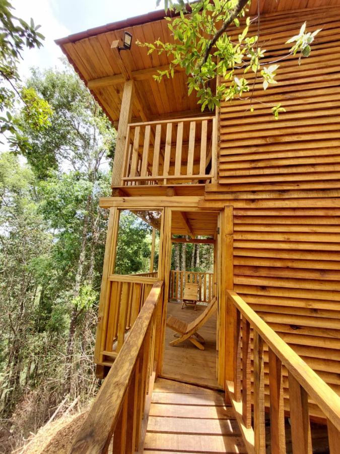 Cabana En El Bosque De San Jose Del Pacifico Exterior foto